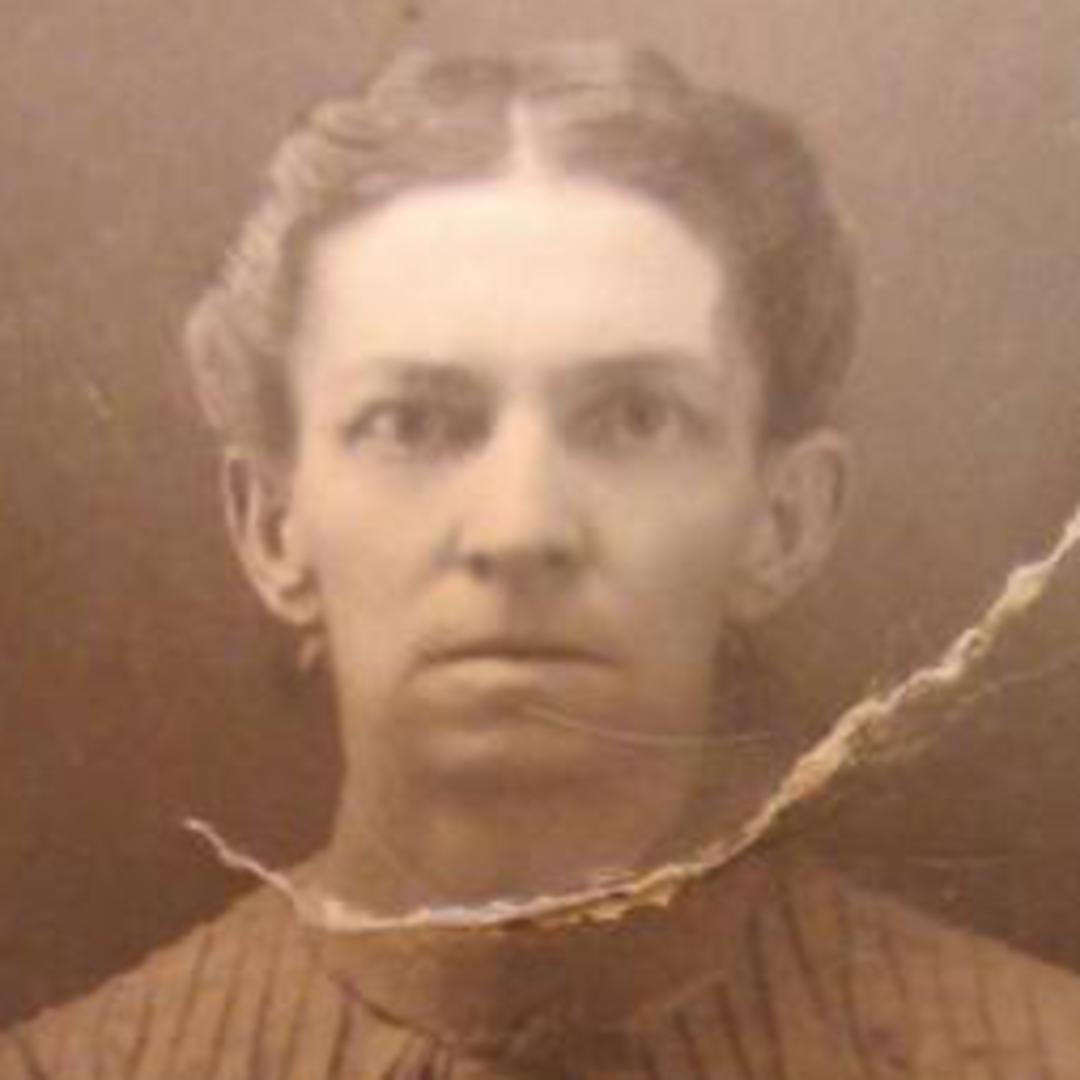 Rosehannah Taylor Doman (1861 - 1928) Profile